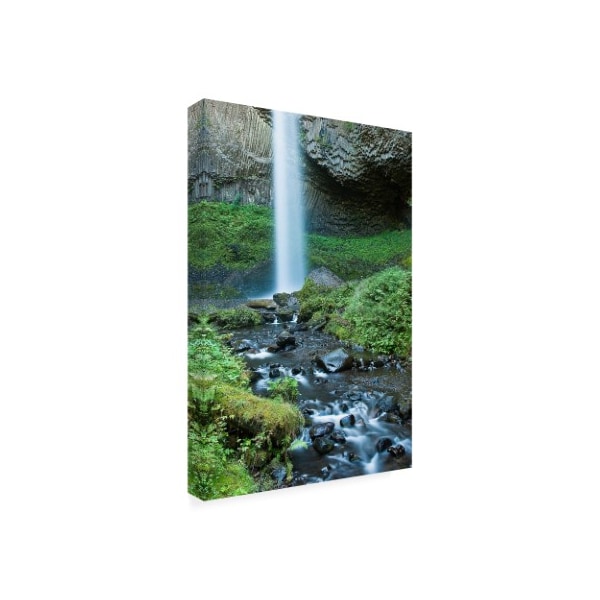 Tim Oldford 'Oregon Waterfall' Canvas Art,22x32